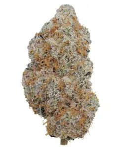 Candy Rain – Sativa Candy Rain – Sativa