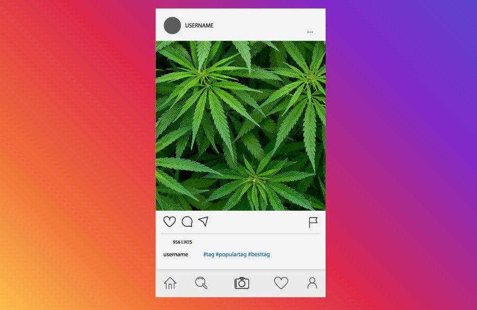 Cannabis And Instagram Cannabis And Instagram 2 - Cannabis And Instagram