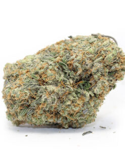 Cereal Milk – Sativa Cereal Milk – Sativa