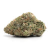 Tangie – Sativa Tangie – Sativa