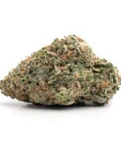 Chronic Cake – Hybrid