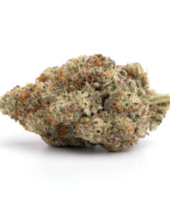 Best Same-Day Weed Delivery in Ajax Coma 247x296 - Best Same-Day Weed Delivery in Ajax