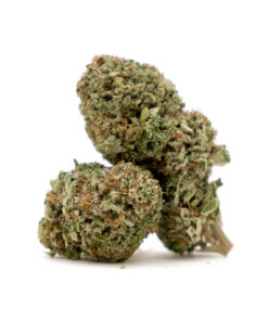 Critical Kush – Indica