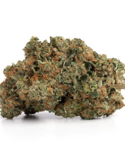 Double Death Bubba Smalls – Indica