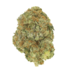 Willy Wonka – Hybrid Willy Wonka – Hybrid