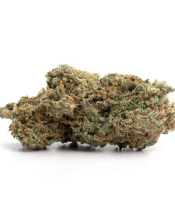 Pink Diablo – Indica