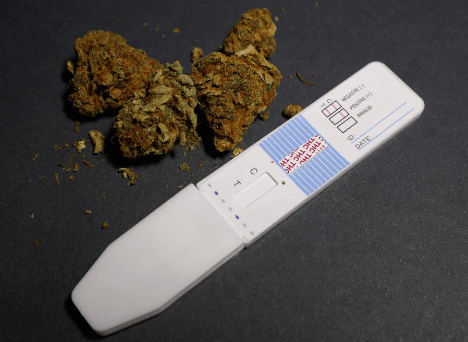 How to Pass a Drug Tests Drug Tests 41 - How to Pass a Drug Tests