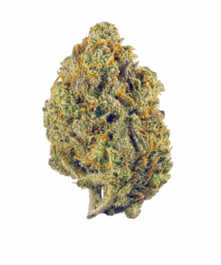Fruit Punch – Hybrid