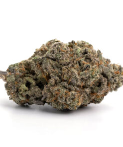 Best Same-Day Cannabis Delivery in Guelph GSC 247x296 - Best Same-Day Cannabis Delivery in Guelph
