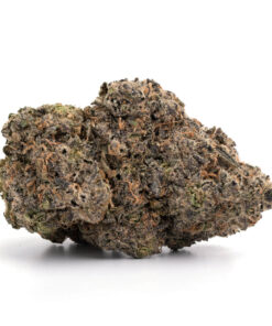 Gelato Mintz – Hybrid