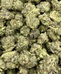 Gelato Hybrid Popcorn Smalls – Limited Special Gelato Hybrid Popcorn Smalls – Limited Special