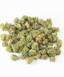 Gelato Dream Smalls – Hybrid