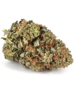 Girl Scout Cookies – Hybrid
