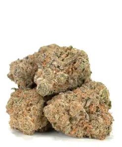 Golden Goat – Sativa