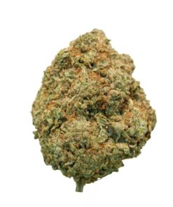 Hash Plant Hash Plant