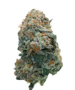Kush Mintz Kush Mintz