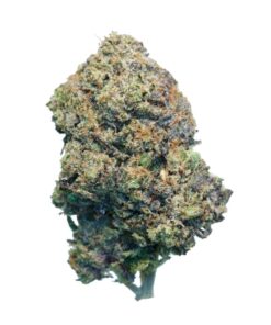 Purple Mintz LSO Purple Mintz LSO
