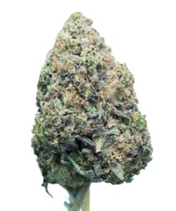 Pink Cupcake LSO Pink Cupcake LSO