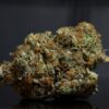 Amnesia LSO-Indica Amnesia LSO-Indica