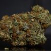 Amnesia LSO-Indica Amnesia LSO-Indica