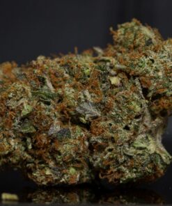 Amnesia LSO-Indica Amnesia LSO-Indica