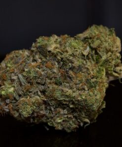 Pink Prezzy-Indica