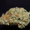 Pink Comet LSO-Indica Pink Comet LSO-Indica