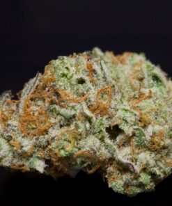 Citrus Punch-Sativa