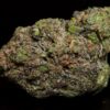 El Chapo Rockstar LSO-Indica El Chapo Rockstar LSO-Indica