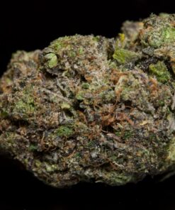Death Shark LSO-Indica Death Shark LSO-Indica