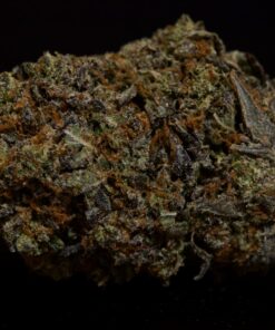 Purple Tundra-Indica