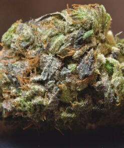 Pink Gangster LSO-Indica Pink Gangster LSO-Indica