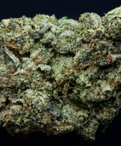 Death Lean-Indica Death Lean-Indica