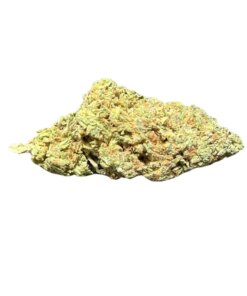 Orange Cookies-Sativa