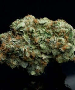 Crystal Pink Indica Crystal Pink Indica