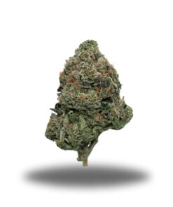 Cosmic Kush – Indica Bulk Cosmic Kush – Indica Bulk