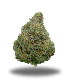 Strawberry Cough – Sativa
