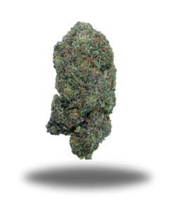 Pink Champagne – Indica