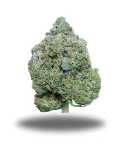 Pink Diamond – Indica