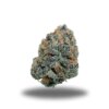 Chocolate Orange Dream – Sativa Chocolate Orange Dream – Sativa