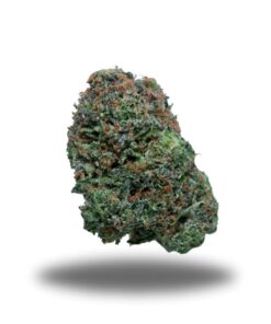 Pink Cream – Indica