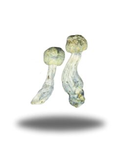 Psilocybin ��� Smurf AAAA+ Psilocybin ��� Smurf AAAA+