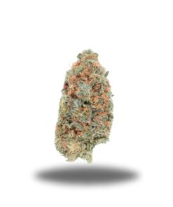 Blue Dream – Sativa Blue Dream – Sativa