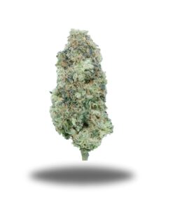 Mint Guava LSO – Sativa