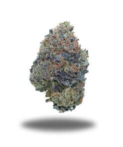 Incredible Pink LSO – Indica