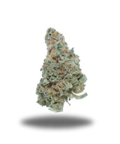Maui Wowie – Sativa