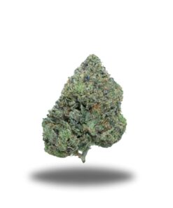 Subzero Pink – Indica