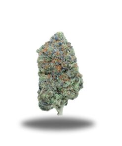 Pink Panther – Indica