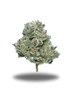 Grease Monkey – Sativa