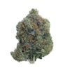 Jack Herer – Sativa Jack Herer – Sativa